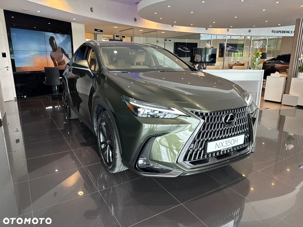 Lexus NX - 27