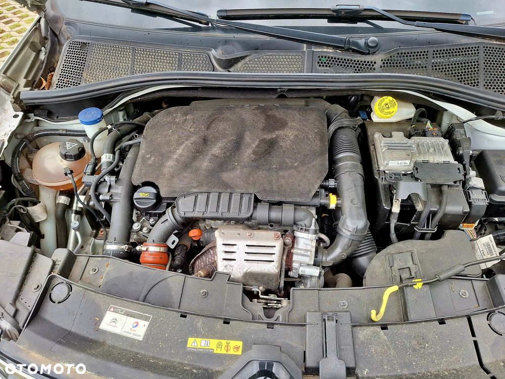 Citroën C4 Cactus 1.2 PureTech Feel Edition S&S - 21
