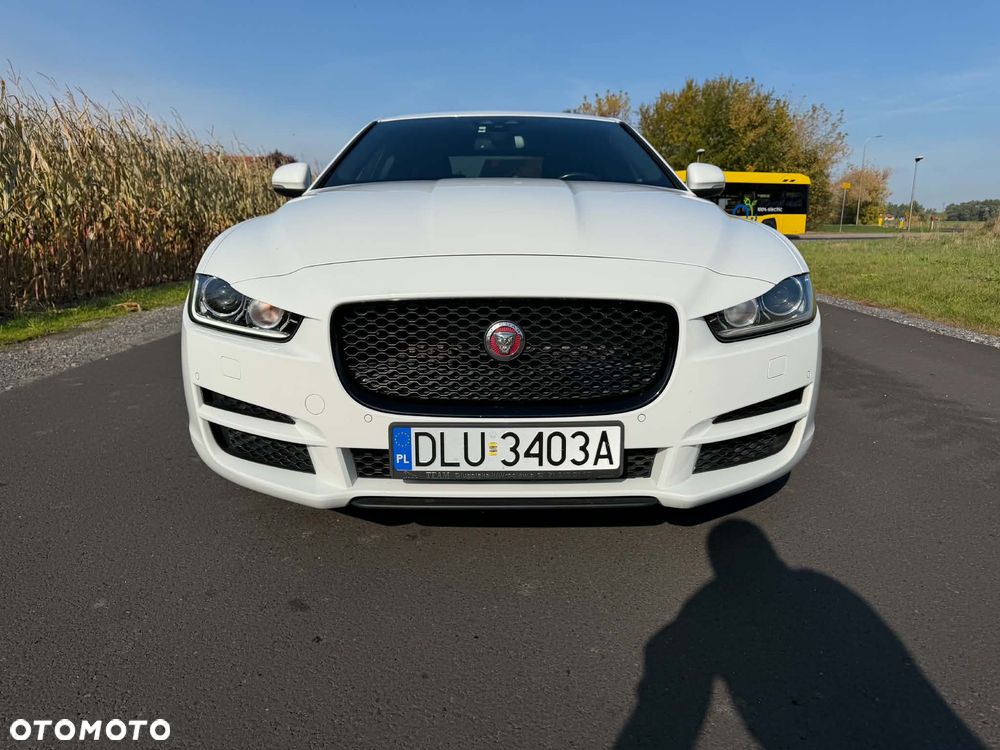 Jaguar Xe 2017 photo 2