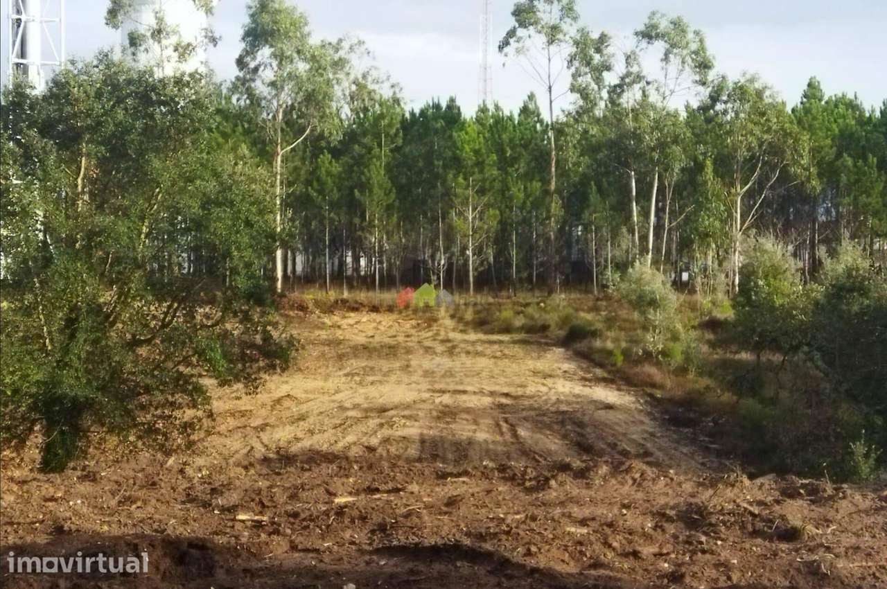 Terreno com 1.609,50 m2 em Monte Real, Leiria - Grande imagem: 4/4
