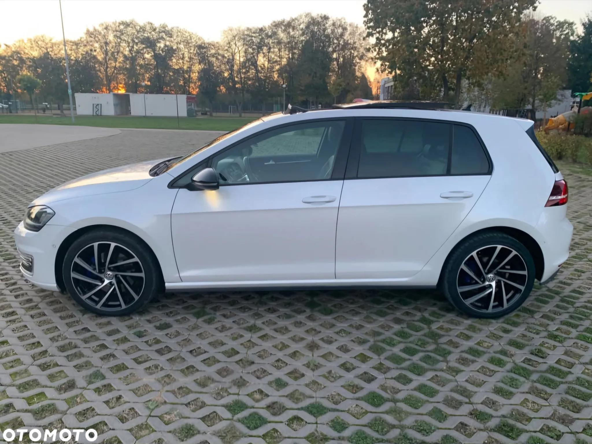 Volkswagen Golf VII 1.4 TSI Plug-In-Hybrid GTE - 5