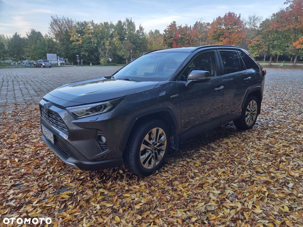 Toyota RAV4 2.5 Hybrid Executive 4x4 - 3