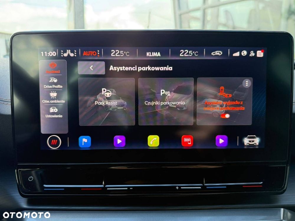 Cupra Formentor 2.0 TDI 4Drive DSG - 25