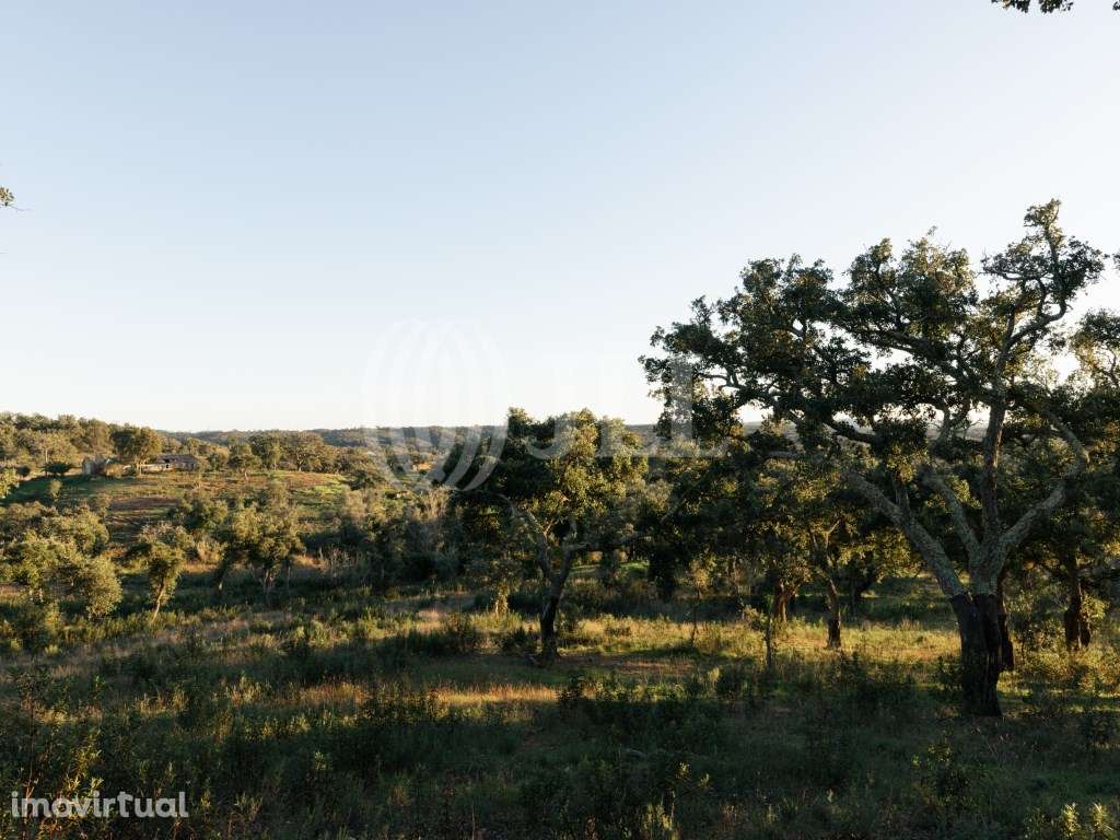 Terreno, com vista Mar e Serra, em Santiago do Cacém - Grande imagem: 5/26