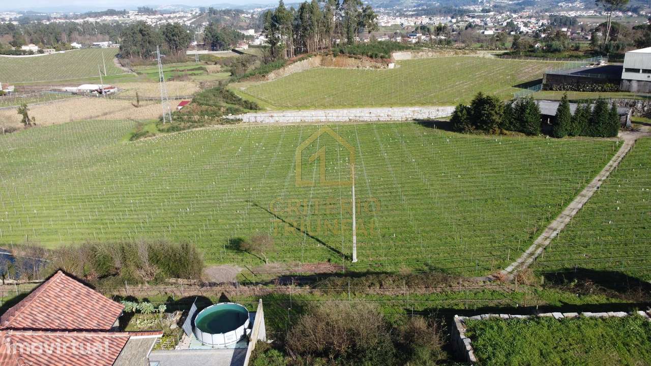 Terreno em Besteiros - Paredes - Grande imagem: 5/17