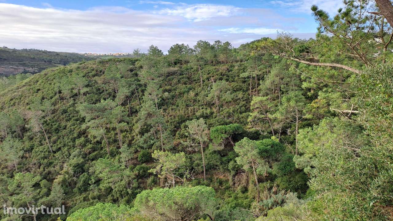Terreno Rústico em Fonte Boa da Brincosa, Carvoeira -  Mafra - Grande imagem: 3/9