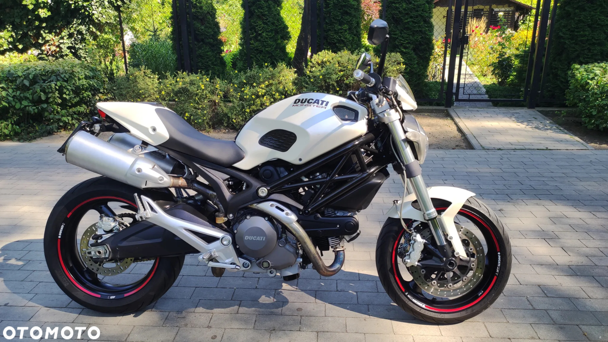 Ducati Monster - 2