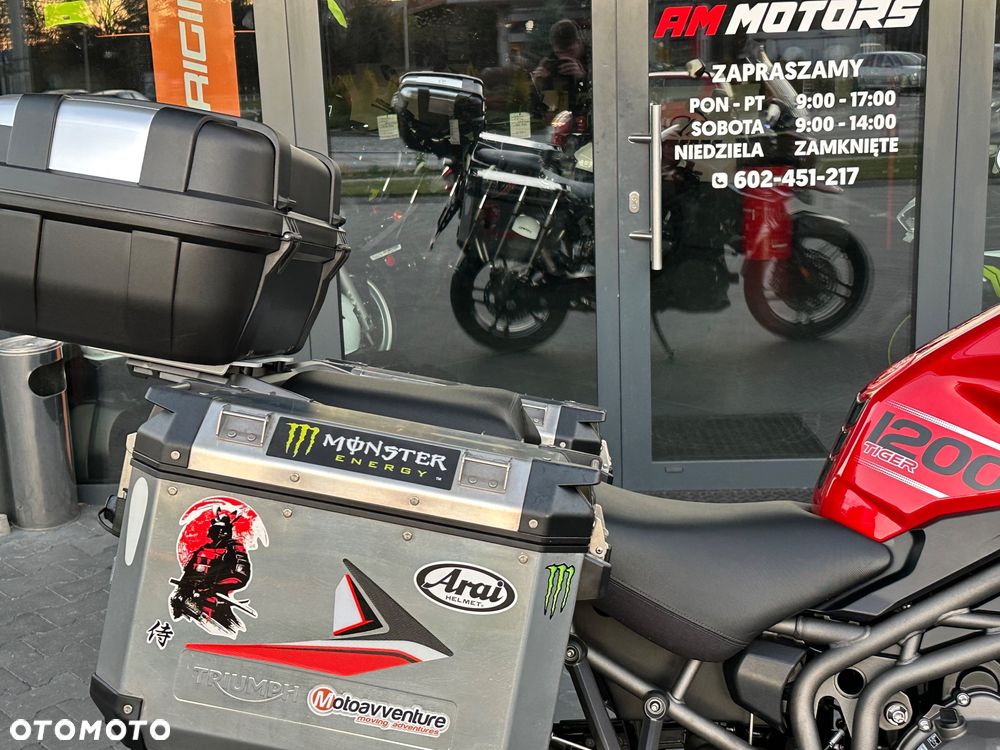Triumph Tiger - 10