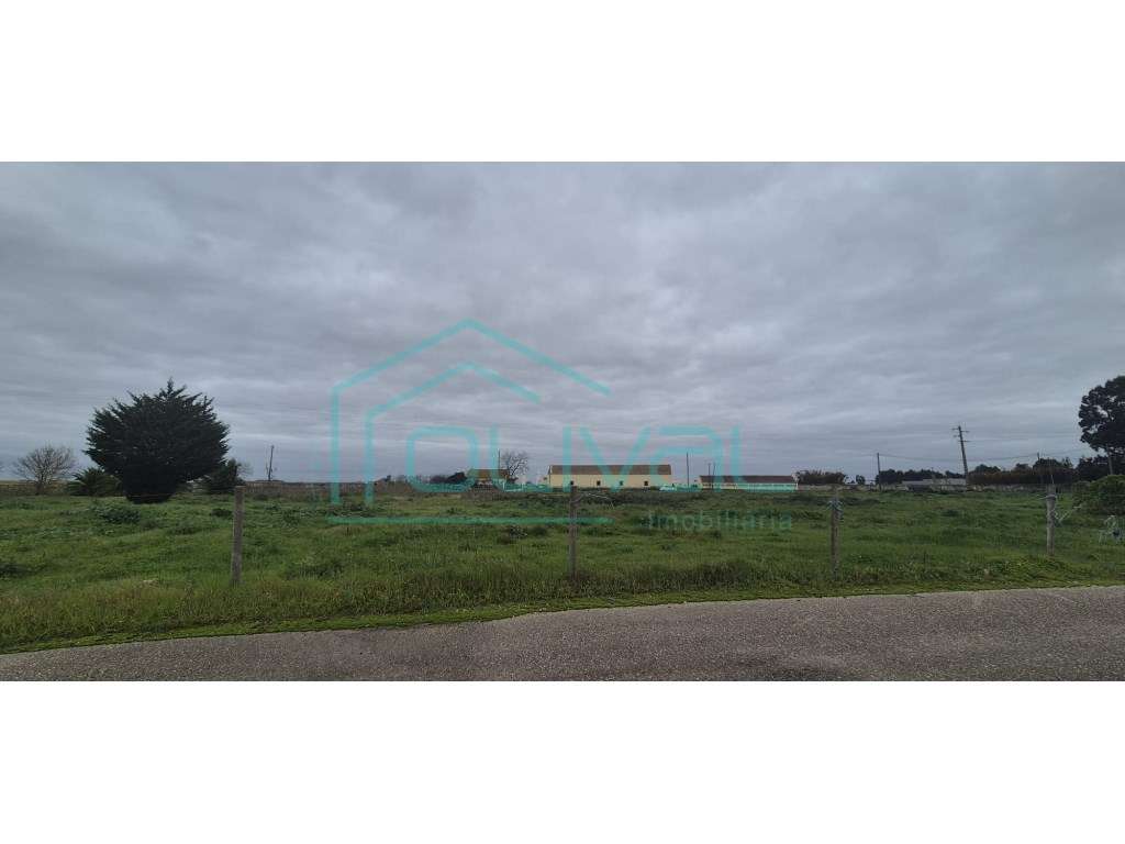 Terreno Urbanizável Venda Benavente - Grande imagem: 4/4