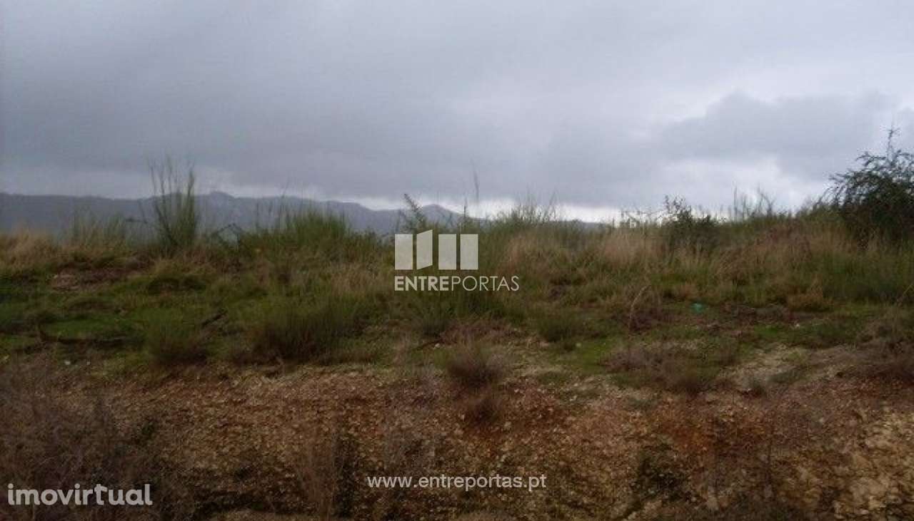 Venda Lote, Grilo, Baião - Grande imagem: 4/30