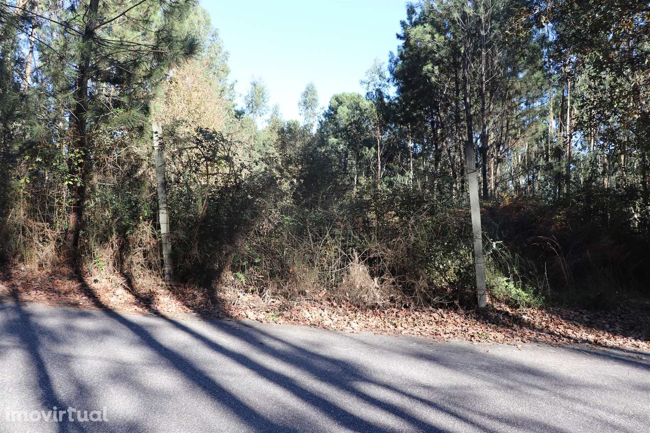 Lote de Terreno  Venda em Sousela,Lousada - Grande imagem: 5/9