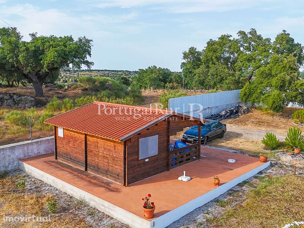 Quinta de 4.000m2 com Moradia T2, piscina e casa secundária - Grande imagem: 4/47