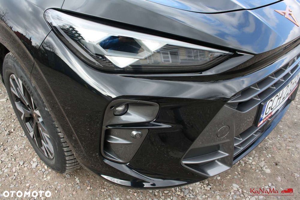 Cupra Terramar - 9