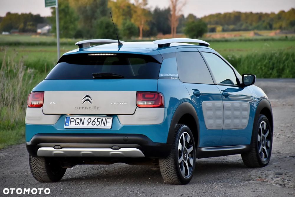 Citroën C4 Cactus BlueHDi 100 Stop&Start Rip Curl - 9