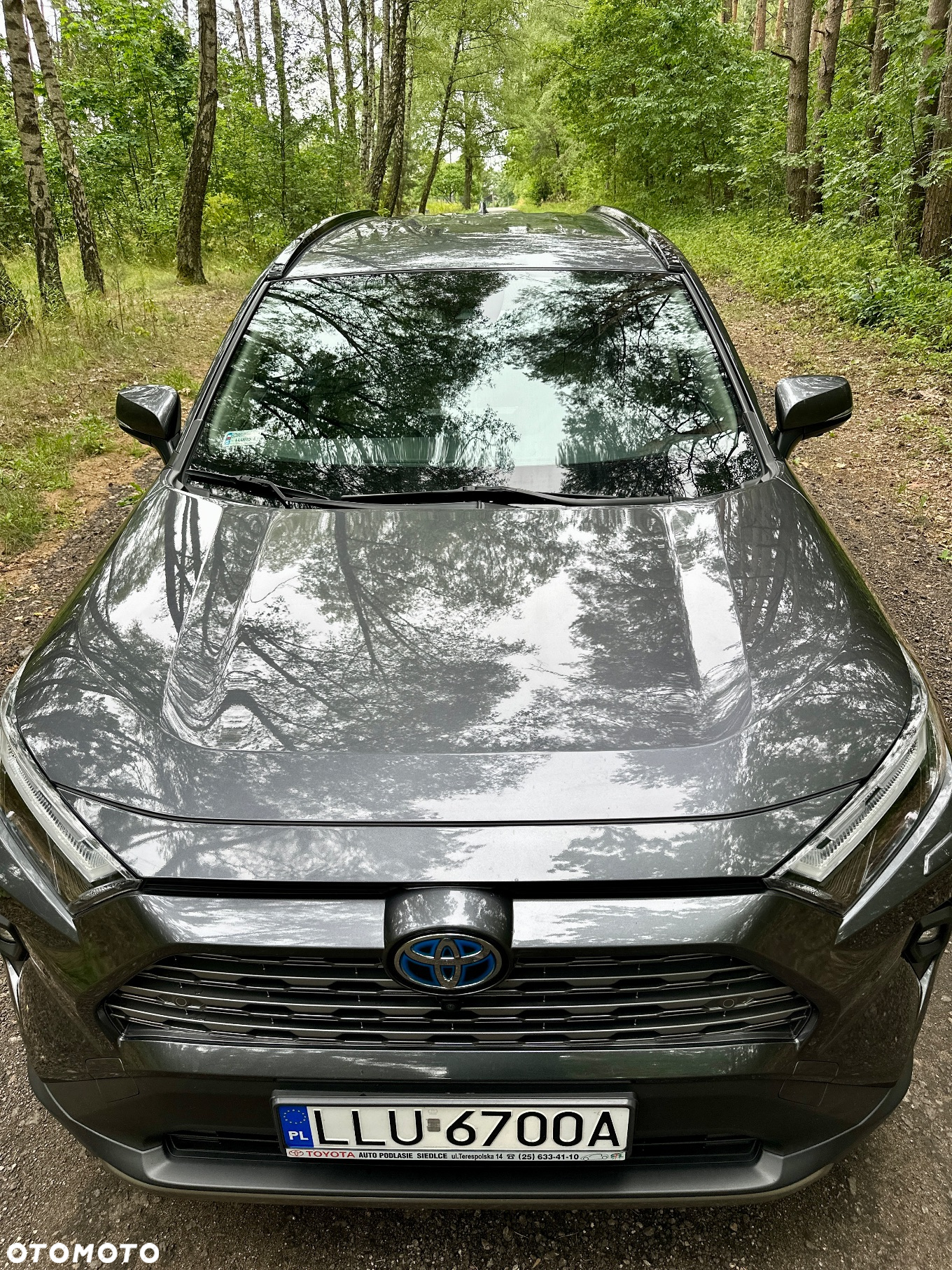 Toyota RAV4 2.5 Hybrid Executive 4x2 - 9