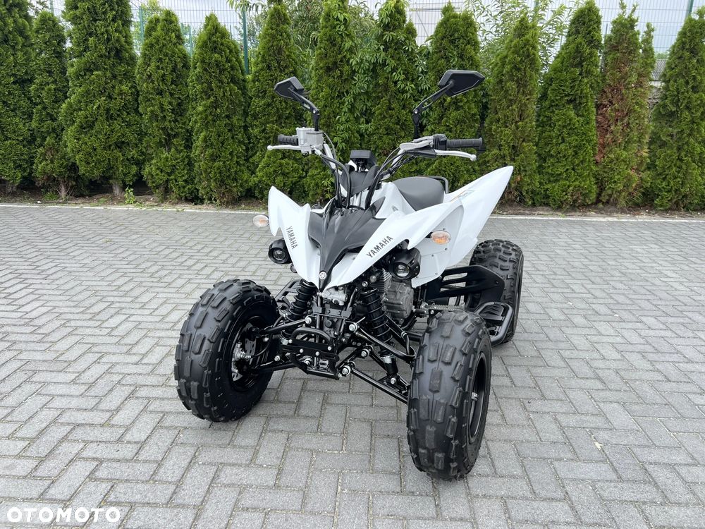 Yamaha Raptor - 1