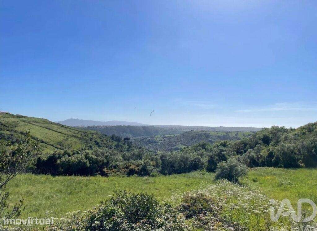 Terreno Agrícola em Igreja Nova e Cheleiros - Grande imagem: 5/11
