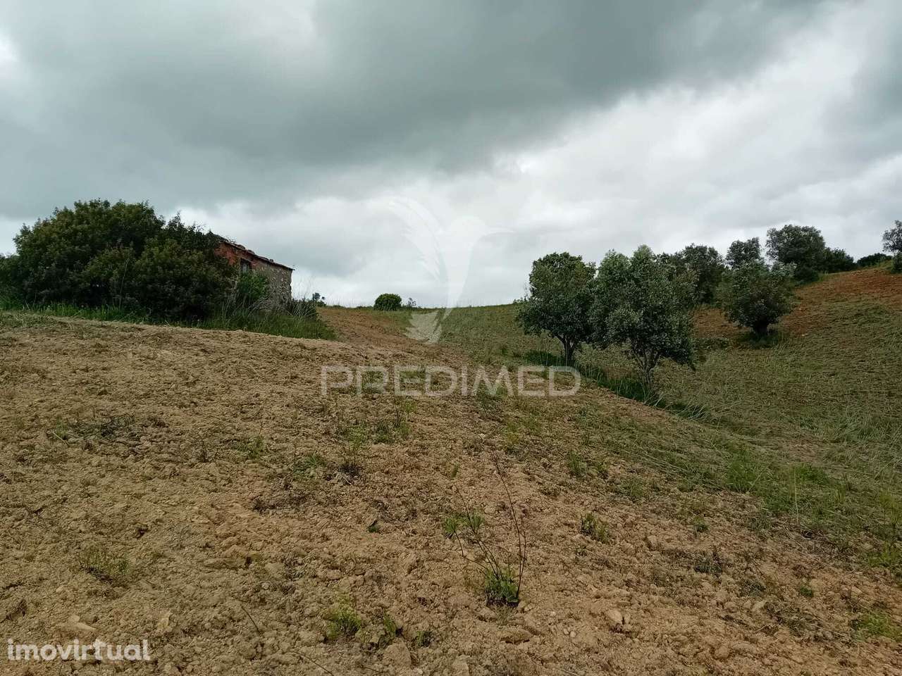 Terreno Rústico Pernes - Grande imagem: 4/7