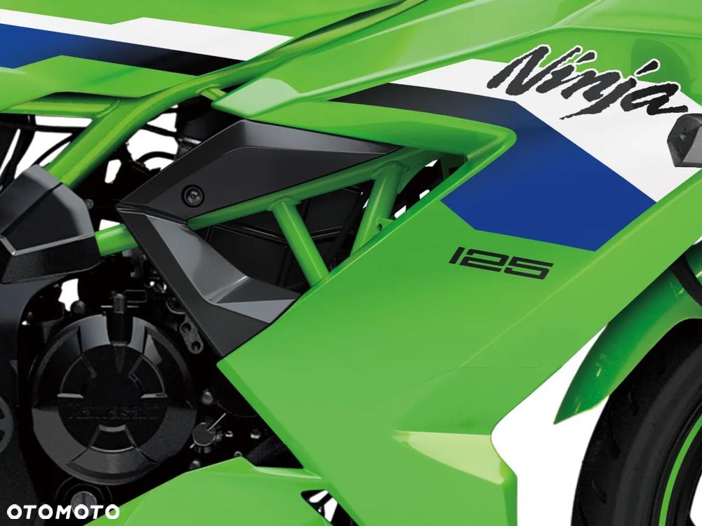 Kawasaki Ninja - 5