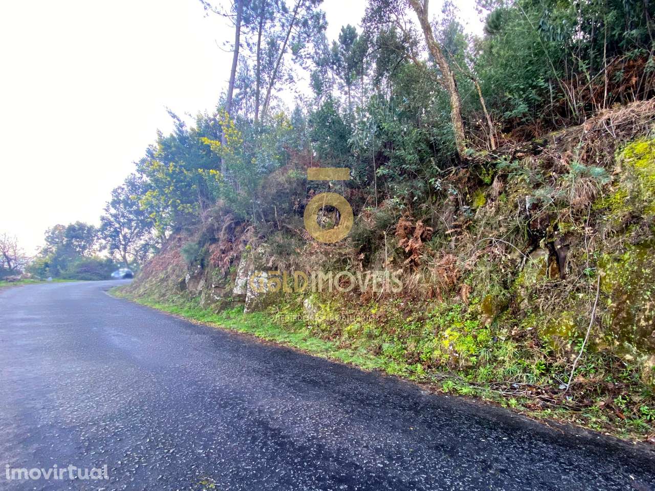 Terreno Rústico - Grande imagem: 4/8