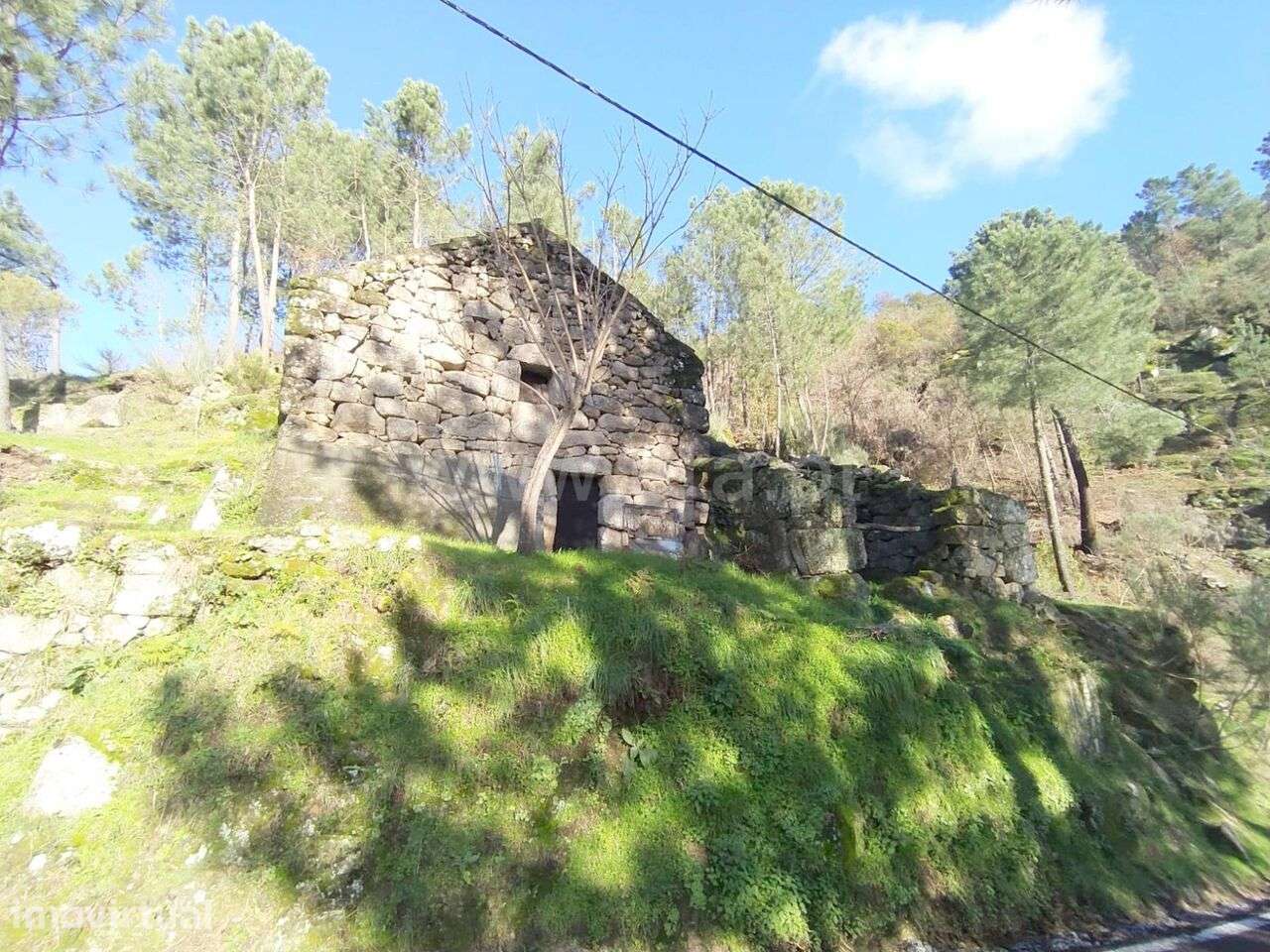 Terreno / Cinfães, Ferreiros de Tendais - Grande imagem: 4/13