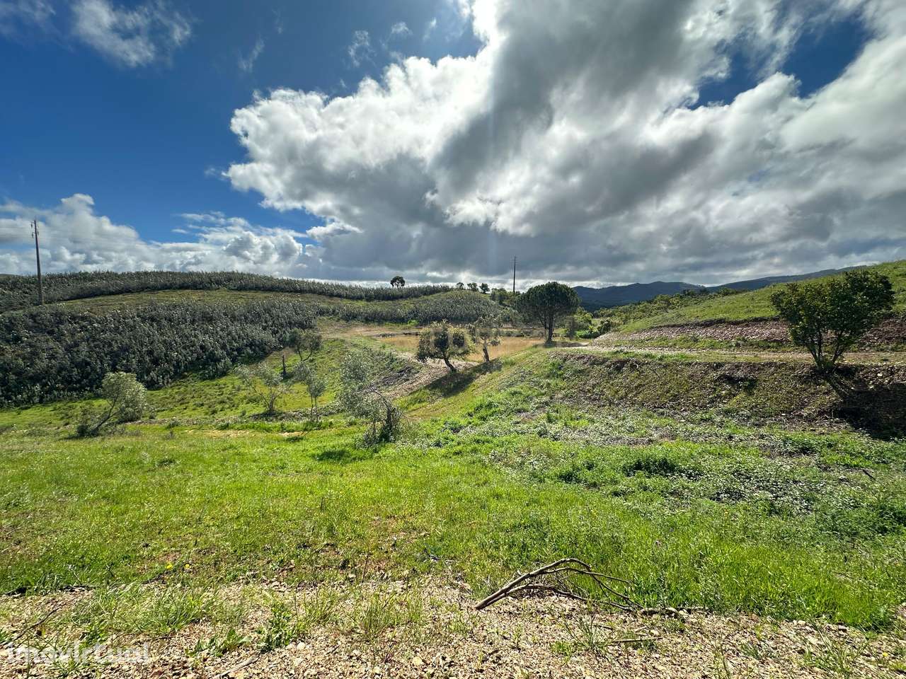 Ruína de 81m2 + Terreno de 3,7ha | Perto de Praia do Carvalhal - Grande imagem: 5/8