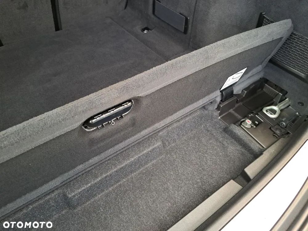 BMW Seria 3 318i GPF Advantage - 24