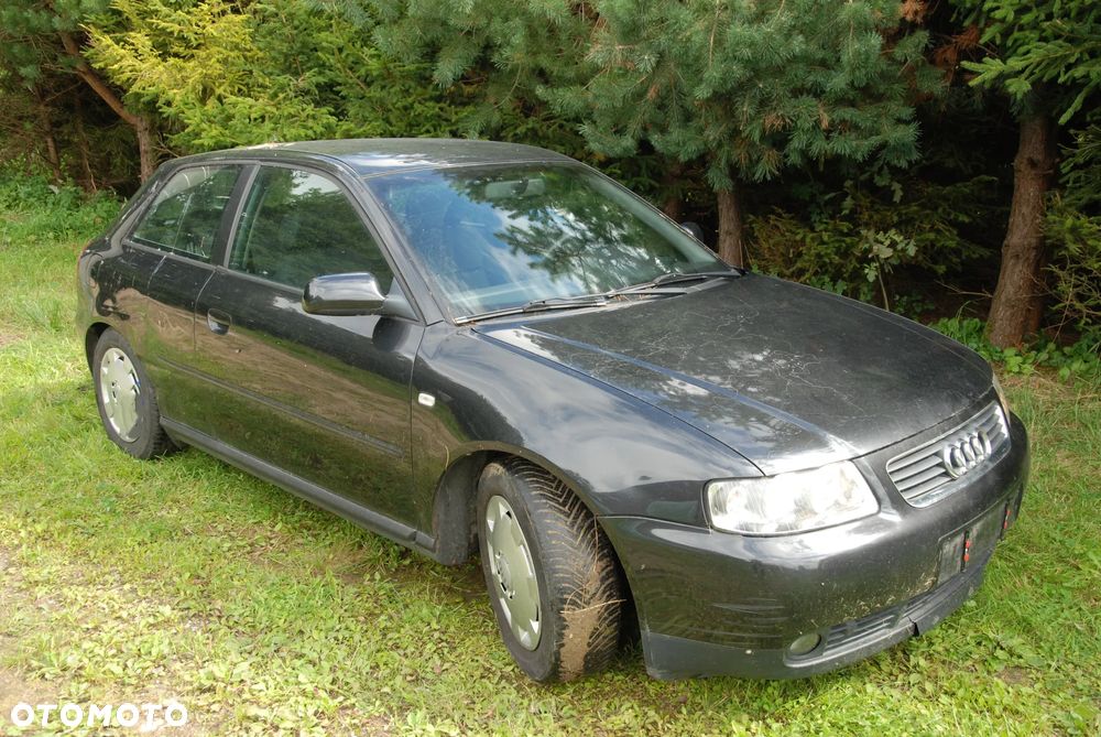 Audi A3 3-drzwiowe - 13
