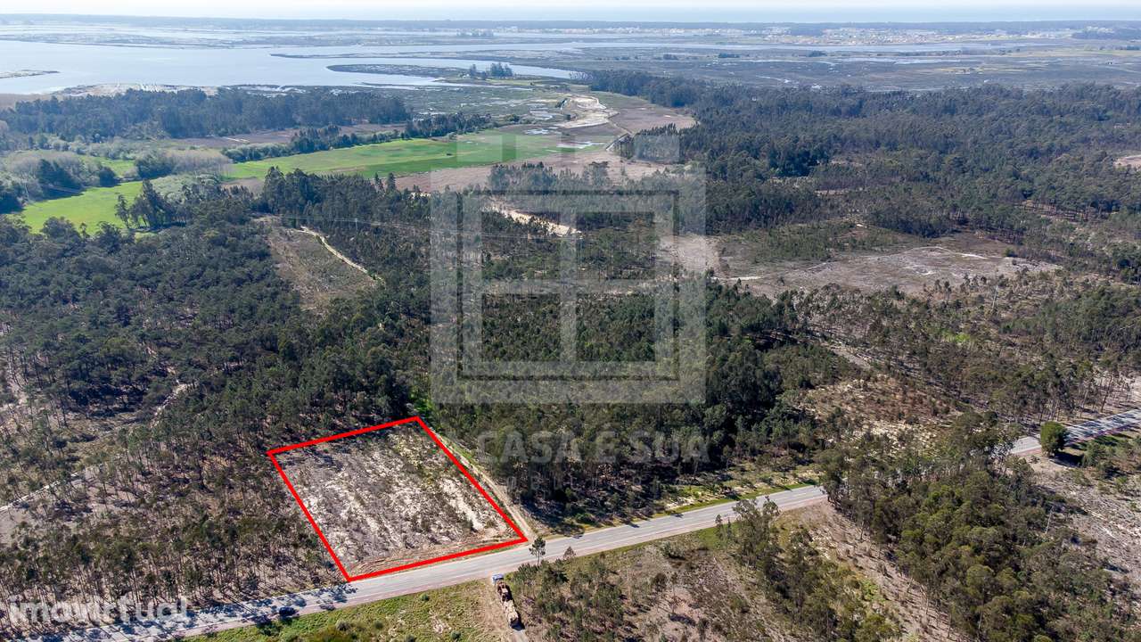 Terreno rústico com 3.810 m2 em Válega - Grande imagem: 2/18