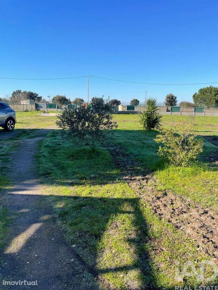 Terreno Agrícola em Poceirão e Marateca - Grande imagem: 3/10