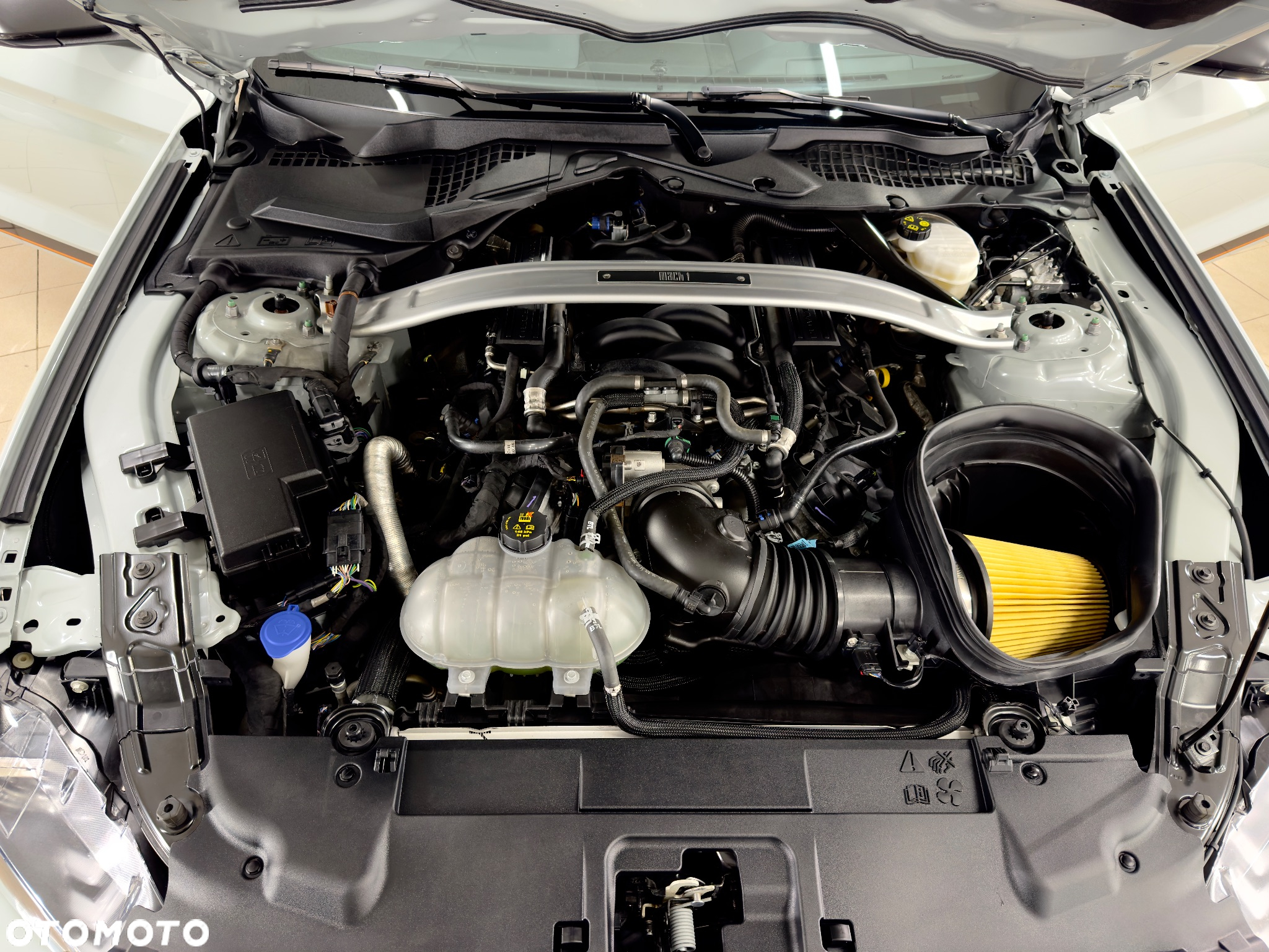 Ford Mustang 5.0 V8 Mach 1 - 15