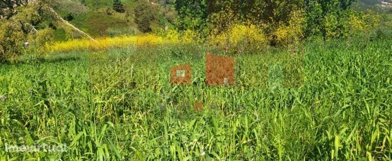 Terreno rústico - Grande imagem: 3/14