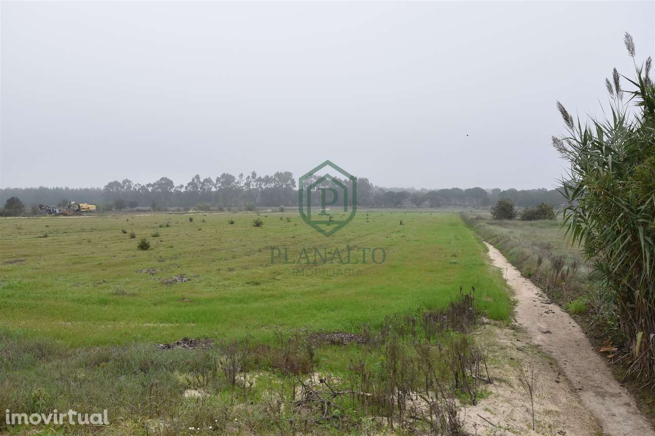 Terreno  Venda em Branca,Coruche - Grande imagem: 3/6