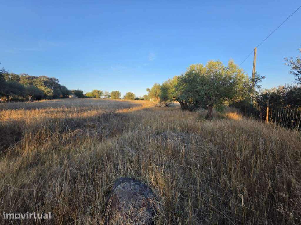 Terreno no Corval com Potencial para Turismo Rural | Possibilidade ... - Grande imagem: 5/14