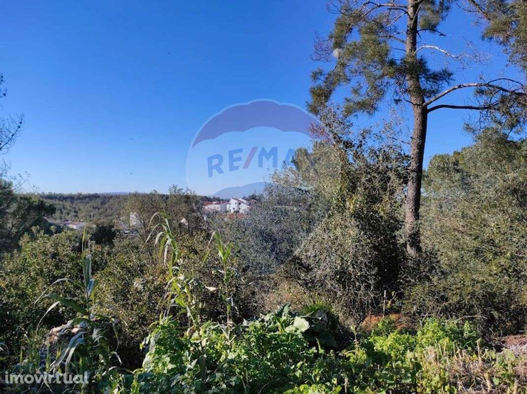 Terreno  para venda - Grande imagem: 4/10