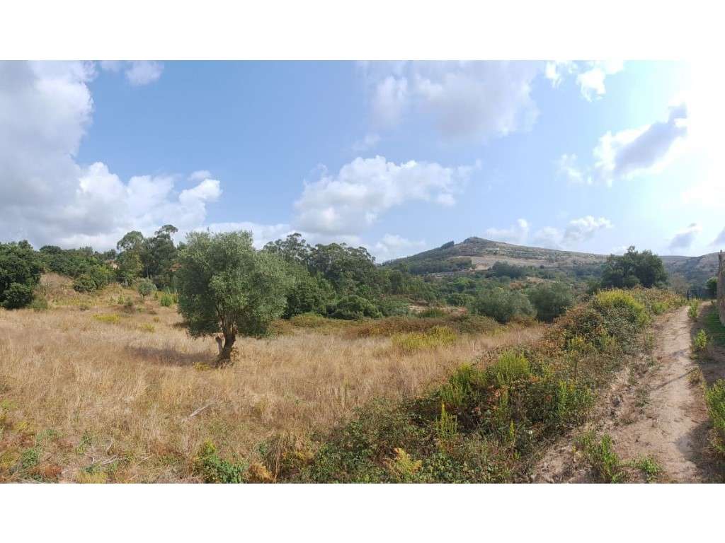 Terreno/Lote à venda em Lousa, Loures - Grande imagem: 2/19