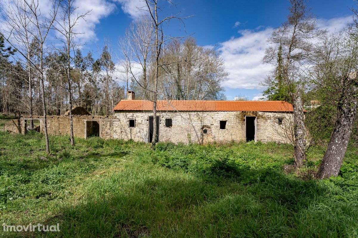 Quinta  para venda - Grande imagem: 4/19