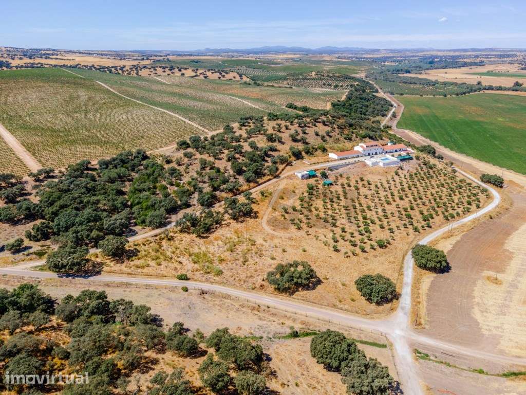 Quinta em Campo Maior, para investimento em turismo rural ... - Grande imagem: 2/60