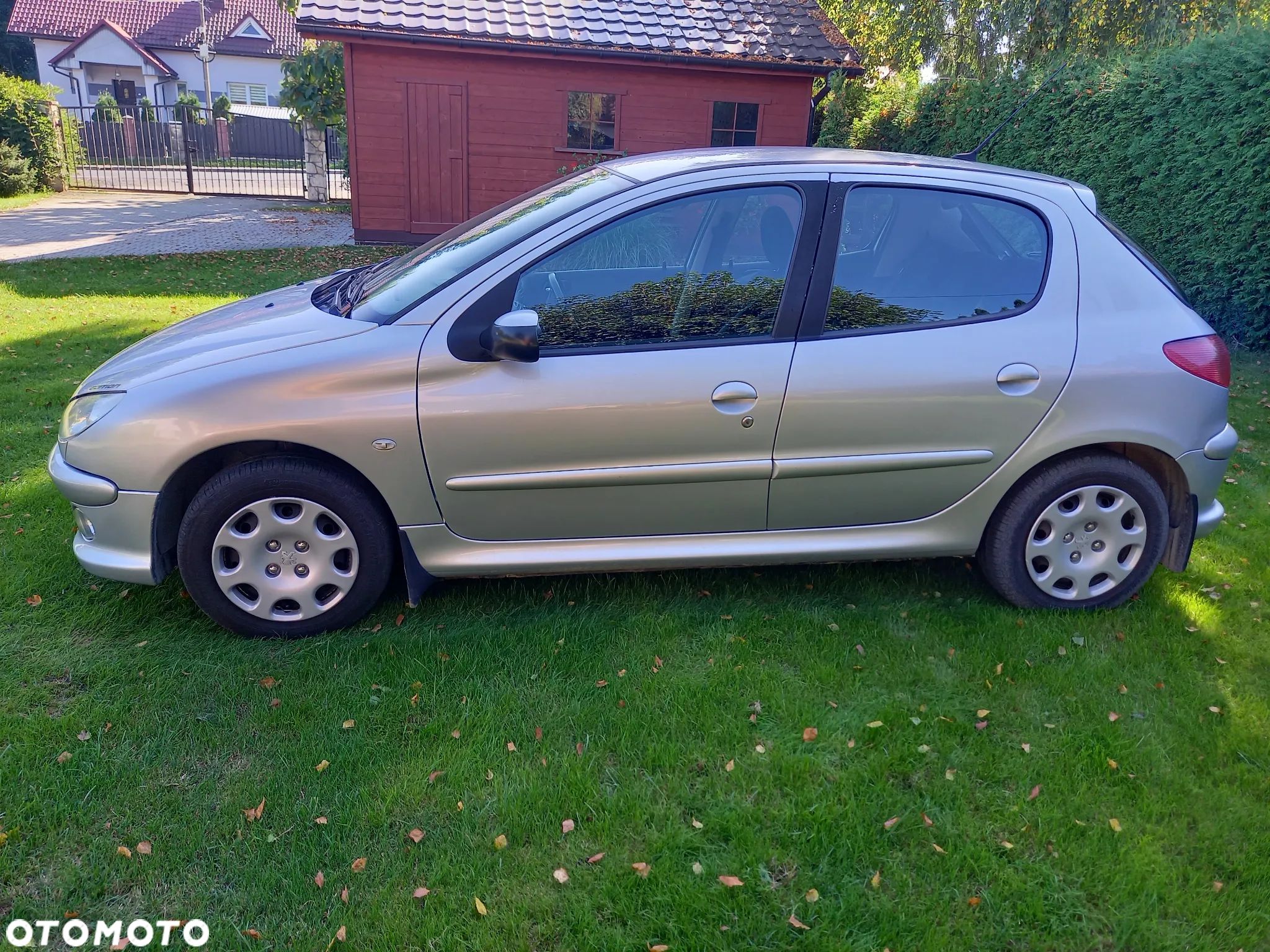 Peugeot 206 - 1