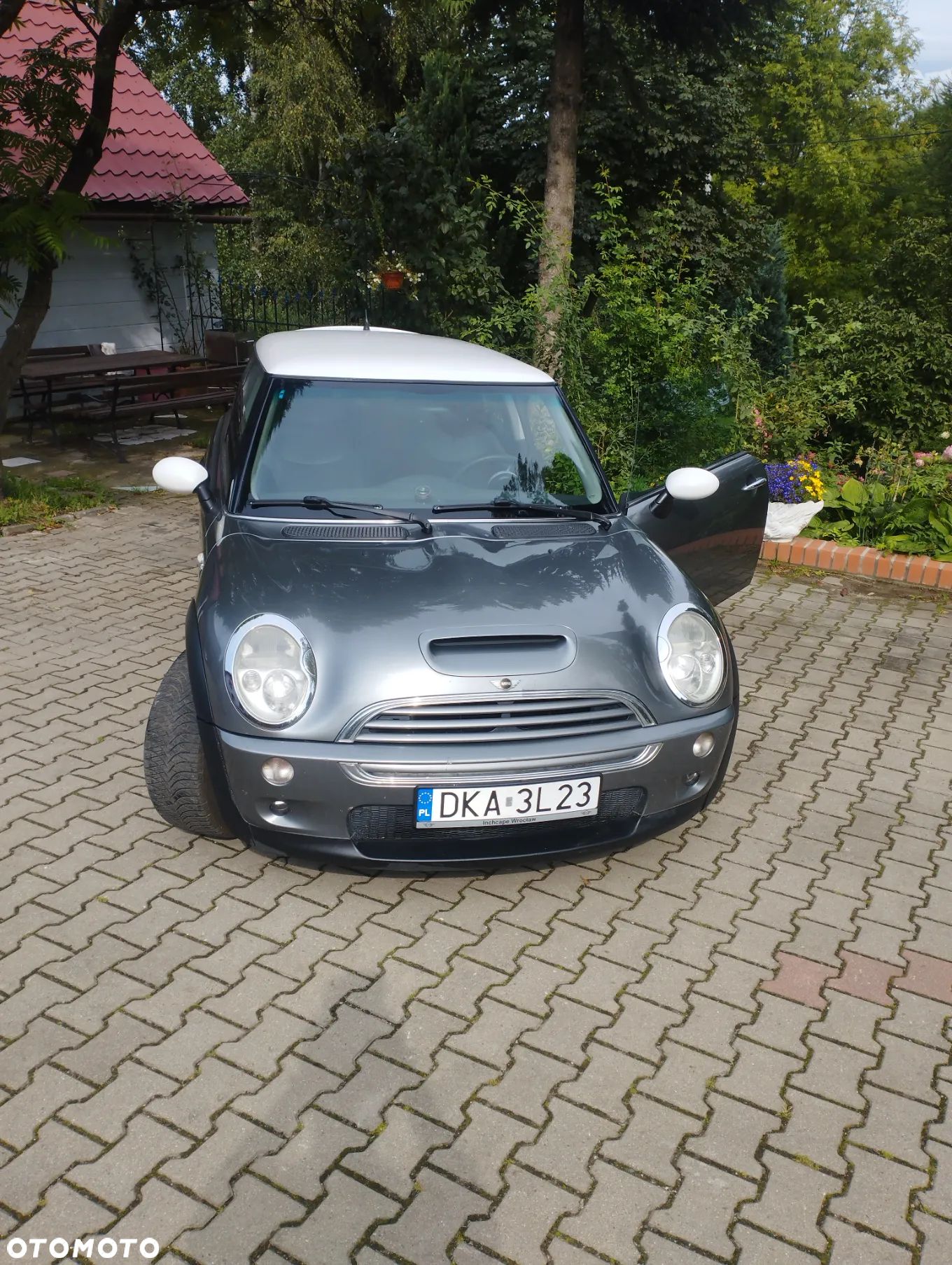 MINI Cooper S chili - 1