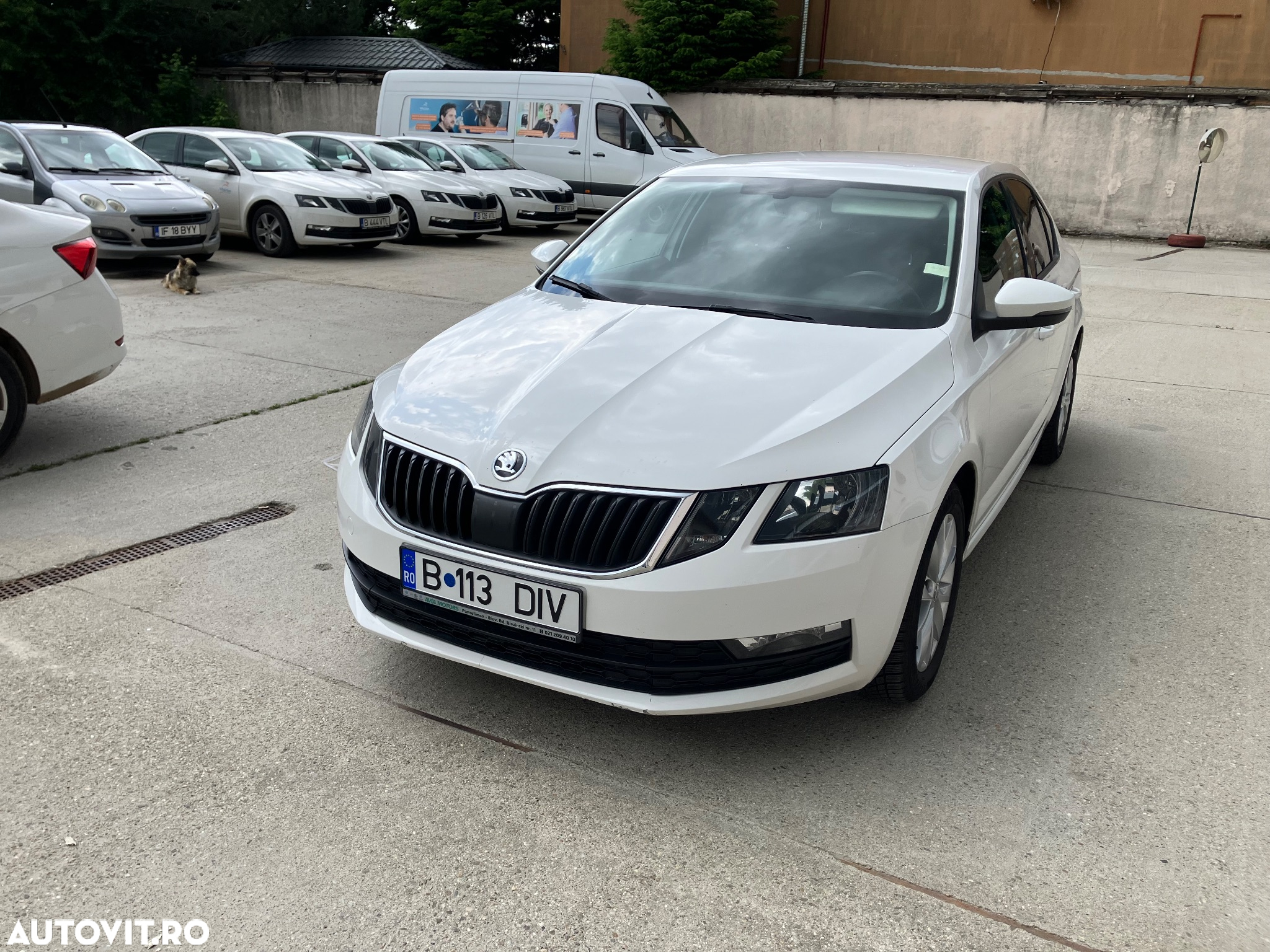 Skoda Octavia Combi Diesel 1.6 TDI Ambition - 3