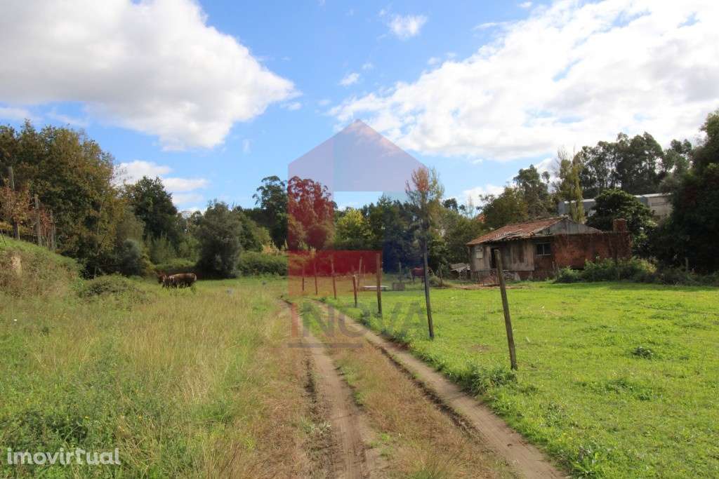 Quintinha em Travassós, Vila Verde - Grande imagem: 5/6