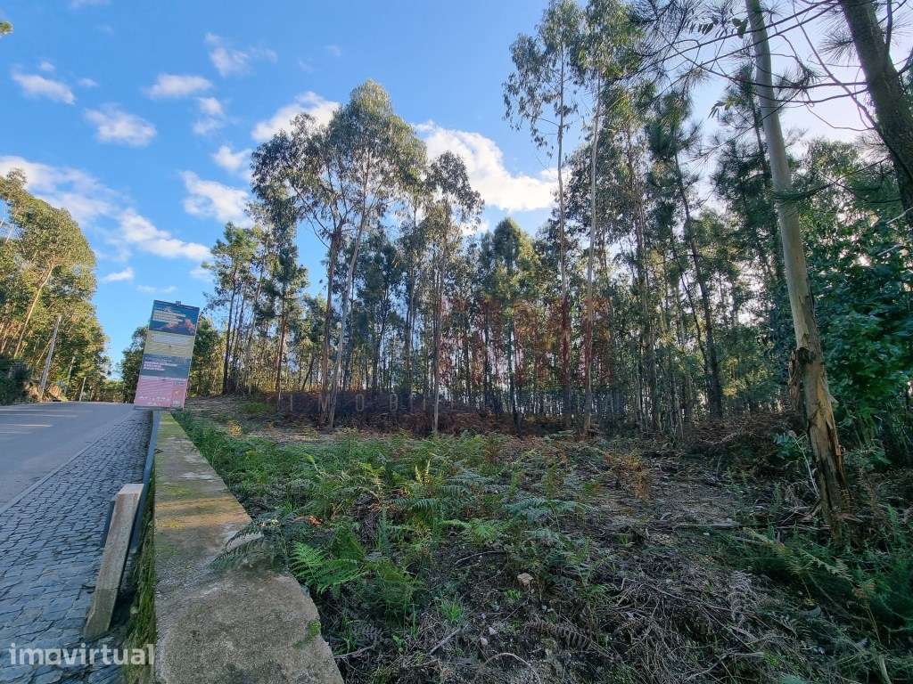 Terreno de construção em Gamil Barcelos - Grande imagem: 2/5