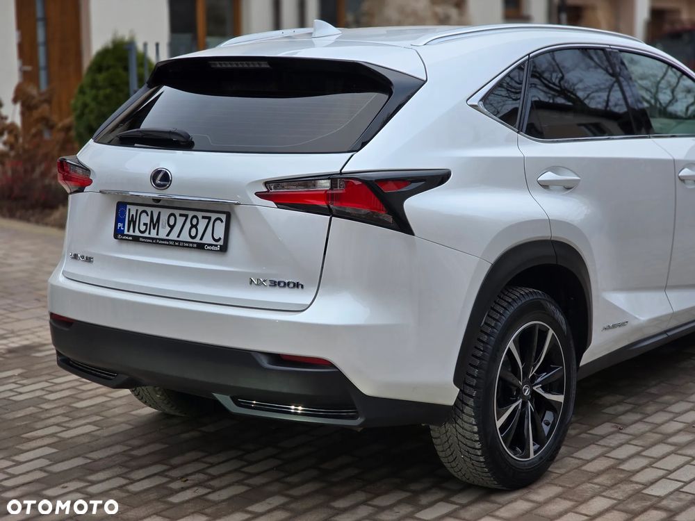 Lexus NX - 7