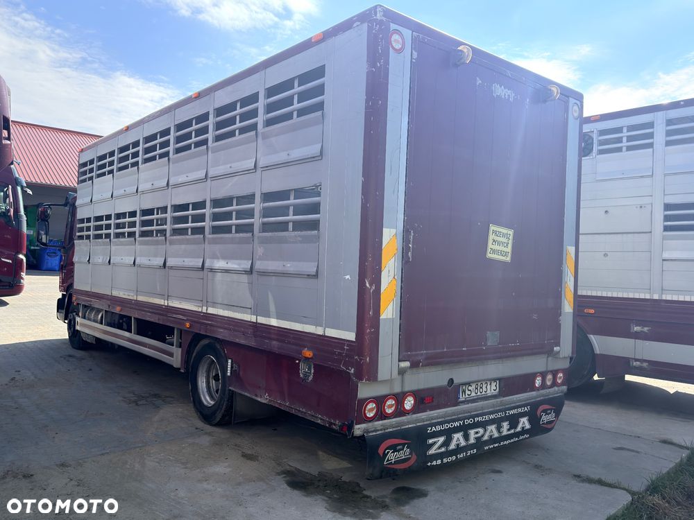 Iveco Eurocargo - 6