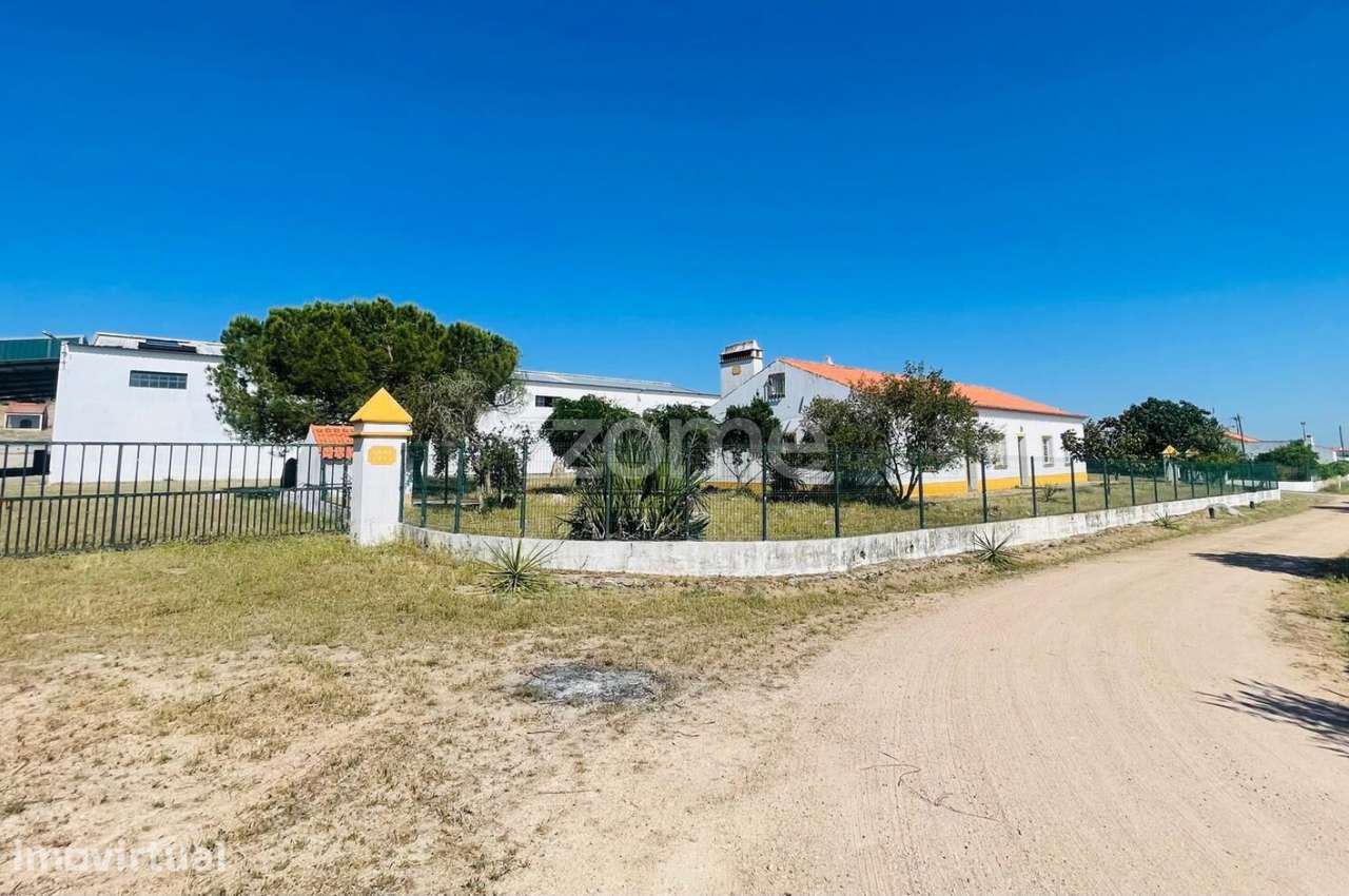 Propriedade de Investimento com 7,8 ha | Lisboa–Madrid | A6 - Grande imagem: 3/22