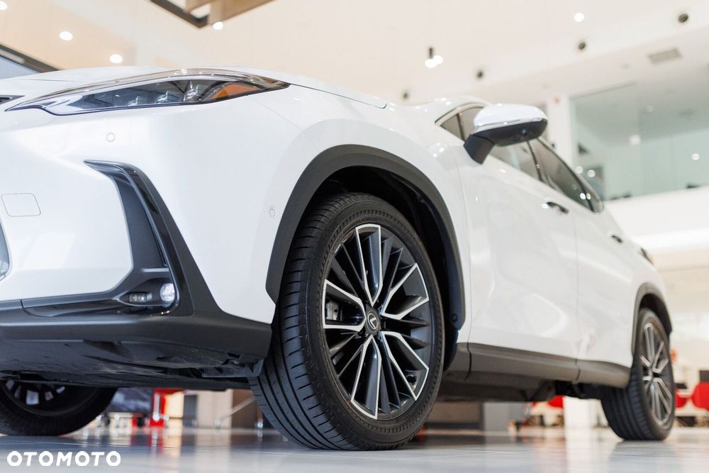 Lexus NX - 16