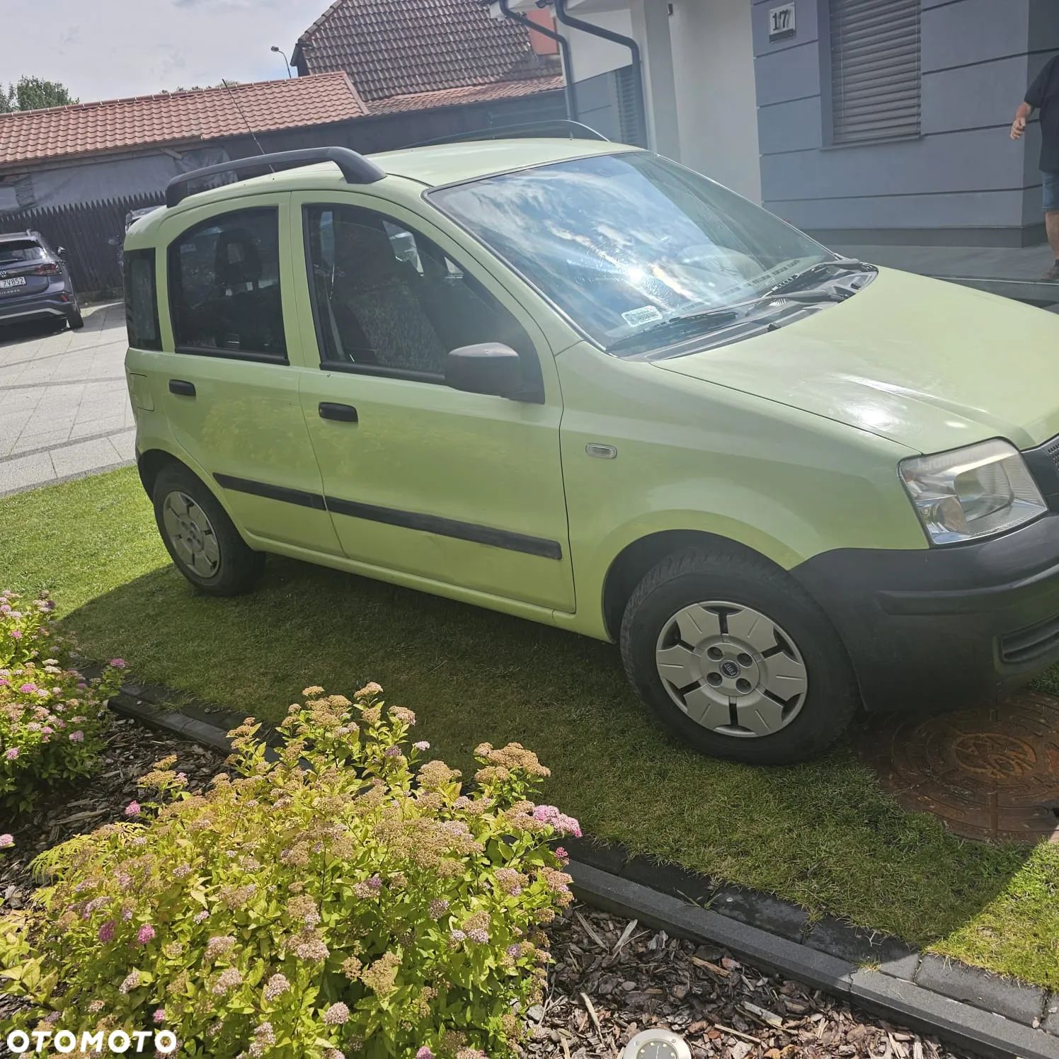 Fiat Panda - 1