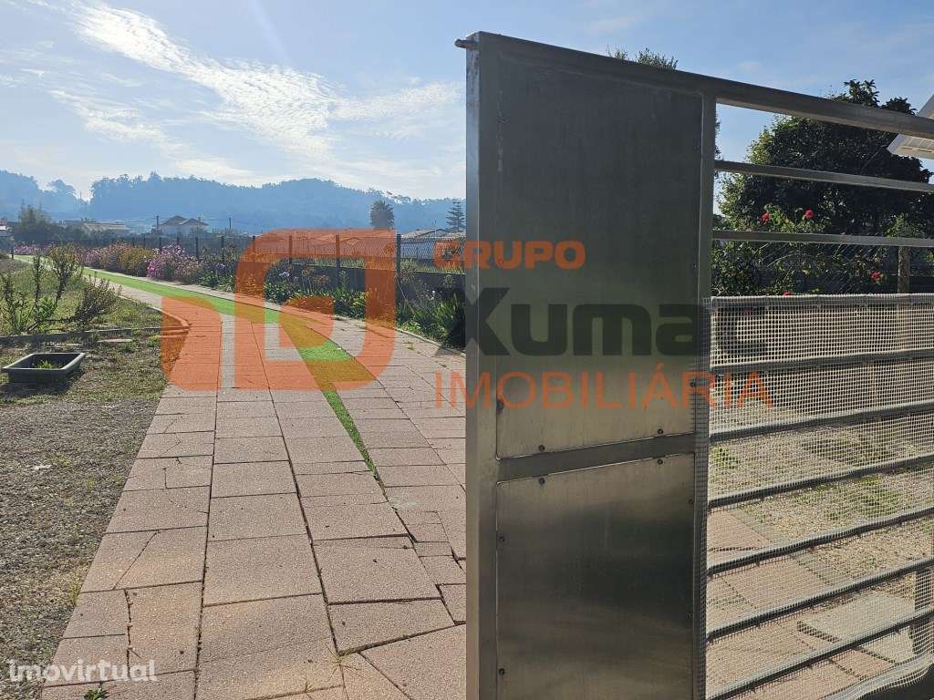 Propriedade tipo quintinha a 5 minutos de São Martinho do Porto! - Grande imagem: 2/48