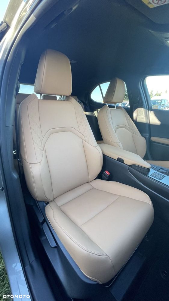 Lexus UX 250h GPF F Sport Design 2WD - 10